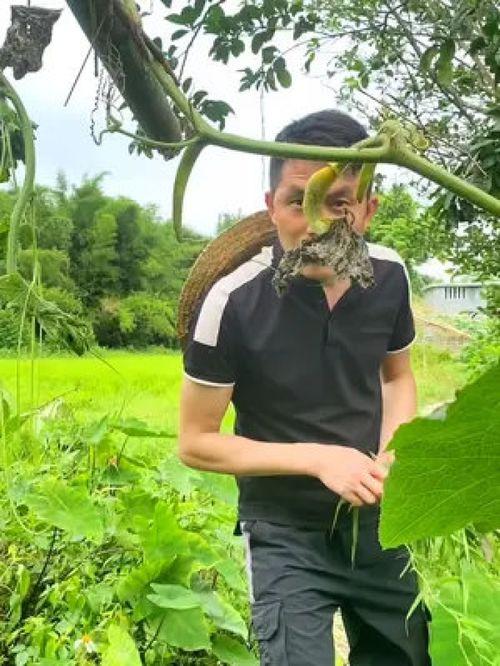 村里大妈吃瓜图片搞笑视频,搞笑视频笑翻众人