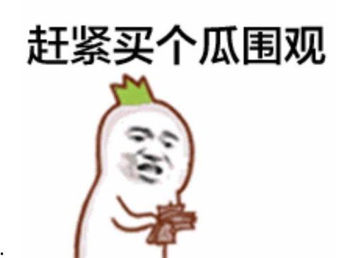 张湾吃瓜群众是谁啊视频,网络红人的崛起之路