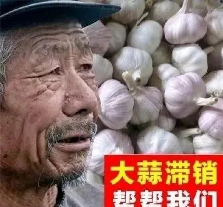 吃茭瓜视频三大爷,一场味蕾与传统的碰撞