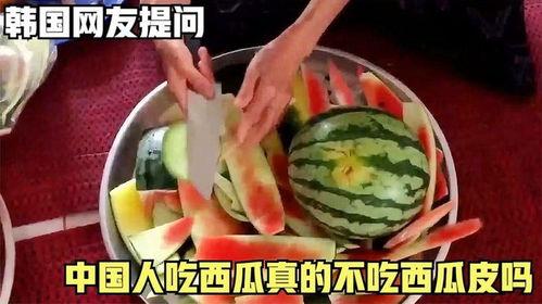 韩国人中国吃瓜视频网站,网络视频中的趣味与反思