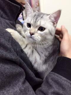 宠物吃瓜视频素材网站,萌宠欢乐时光大盘点