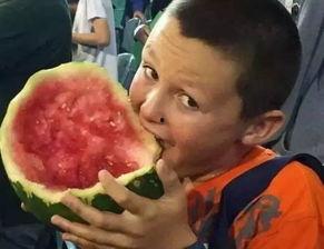 国外小孩吃瓜视频网站,全球萌娃欢乐吃瓜大集合