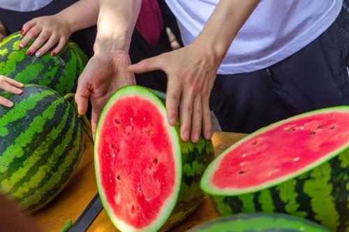 四川婚礼吃瓜视频大全集,一场视觉与味蕾的双重狂欢
