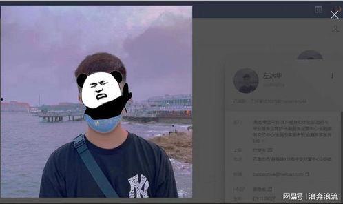 美团员工吃瓜事件视频播放,揭秘职场八卦背后的真相