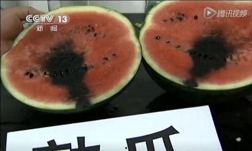 蓬莱吃瓜事件视频大全,视频大全揭秘惊人真相